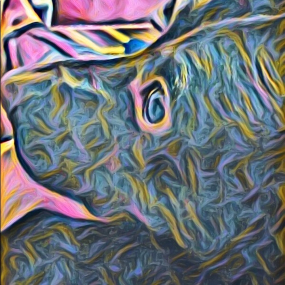 Meet your Posher, Francis